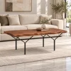 The Attic Metz Coffee Table