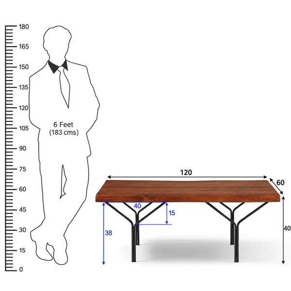 The Attic Metz Coffee Table