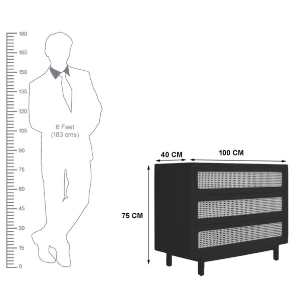 The Attic Panamara Chest of Drawers|Honey Matte Finish