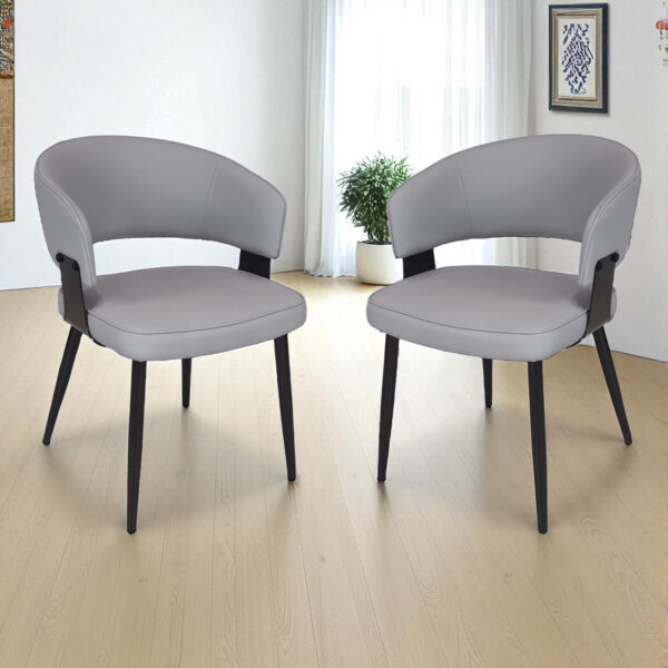 KL-2460 (1) The Attic Monarch Dining Chair, Dining set of 2 chair, Steel Grey Finish