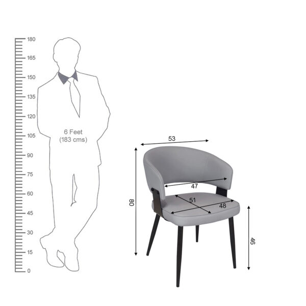 KL-2460 (8) The Attic Monarch Dining Chair, Dining set of 2 chair, Steel Grey Finish