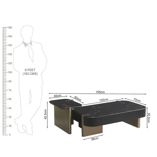 KL-2441 (8) The Attic Obsidian Luxe Modern Black Marble & Gold Coffee Table Set