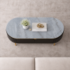 The Attic Carlston Coffee Table, Coffee Table for Living Room, Solid Wood Centre Table with Ceramic Top, Black Matte Finish
