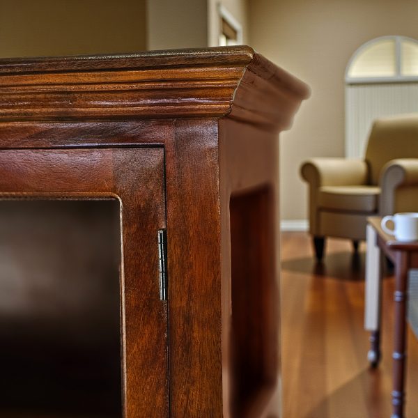 The Attic Havenwood Glass Panel Bookshelf Cabinet Honey