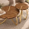 KL-2374 (2) The Attic Roselle Coffee Table Set of 2