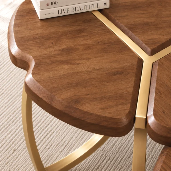 KL-2374 (5) The Attic Roselle Coffee Table Set of 2