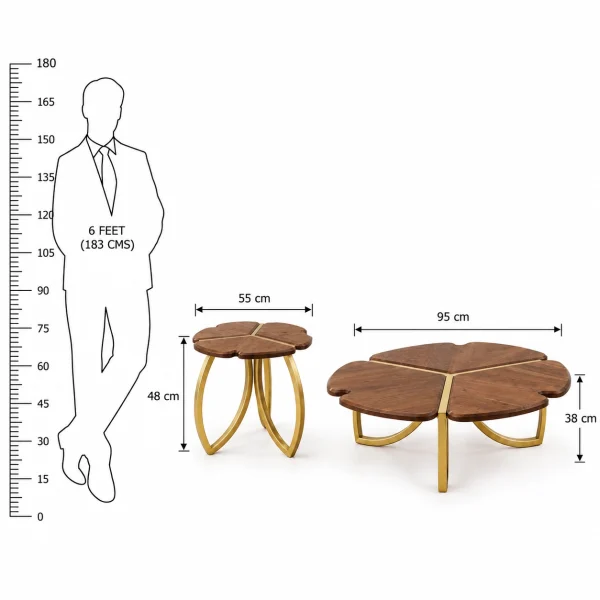 KL-2374 (8) The Attic Roselle Coffee Table Set of 2