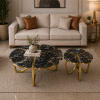 The Attic Roselle Coffee Table Set of 2 Black
