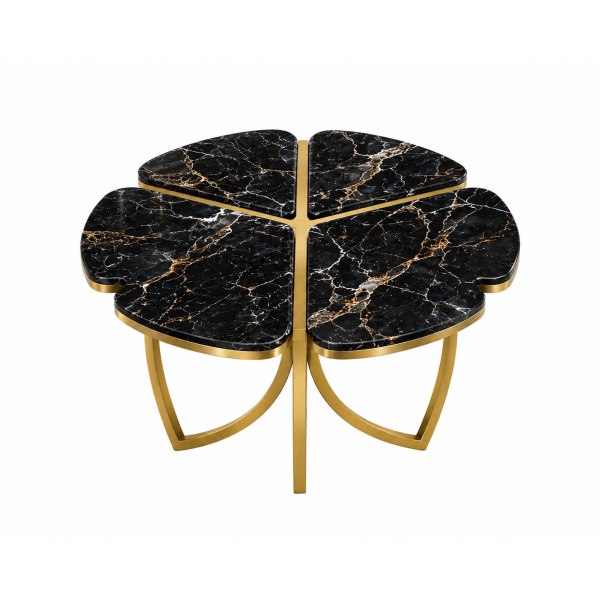The Attic Roselle Coffee Table Set of 2 Black