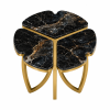 The Attic Roselle Coffee Table Set of 2 Black