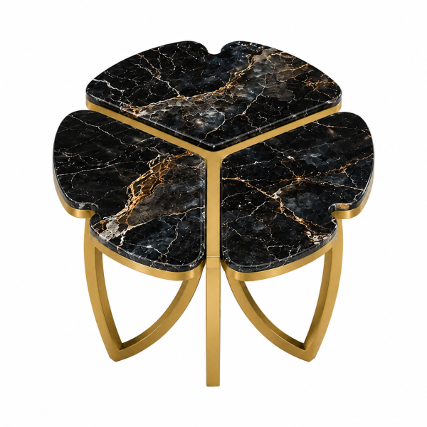 The Attic Roselle Coffee Table Set of 2 Black