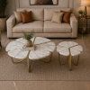 The Attic Roselle Coffee Table Set of 2 White