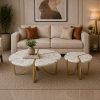 The Attic Roselle Coffee Table Set of 2 White